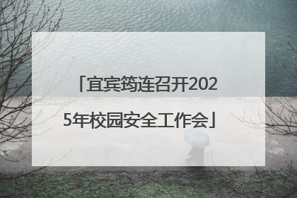 宜宾筠连召开2025年校园安全工作会